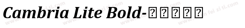Cambria Lite Bold字体转换